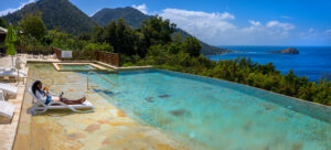 Jungle Bay