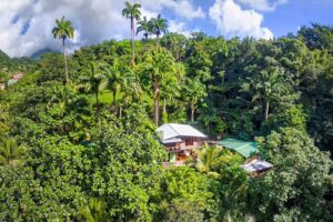 cocoa-cottage-aerial-view-papillotte-road-dominica-caribbean