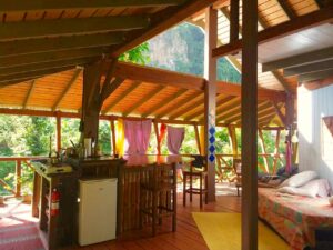 tree-house-living-room-and-kitchenette