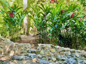 walls-at-river-bank